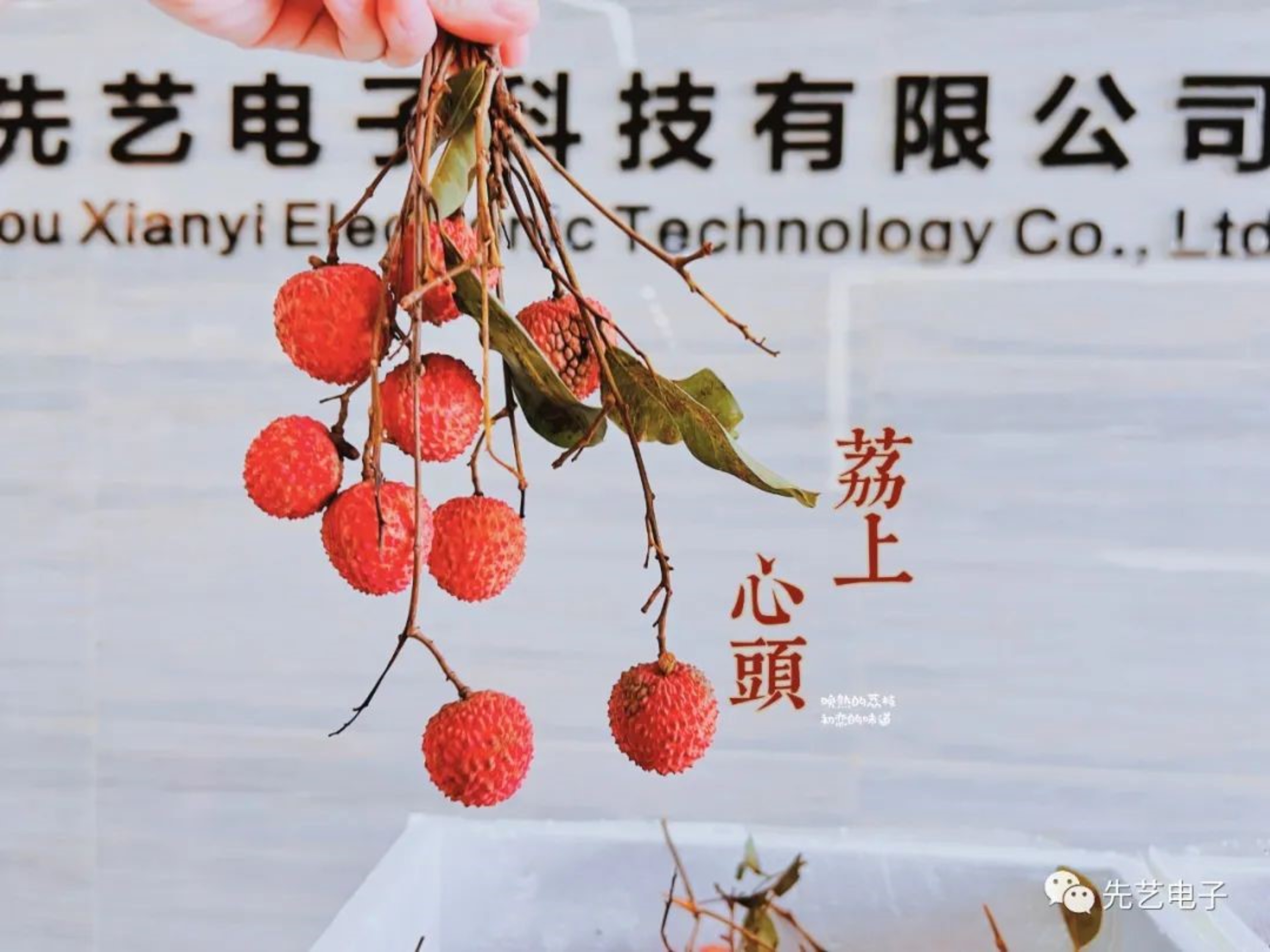 “粽”情端午節(jié) | 生活的滋味不止于咸甜，還有同心協(xié)力一往無前